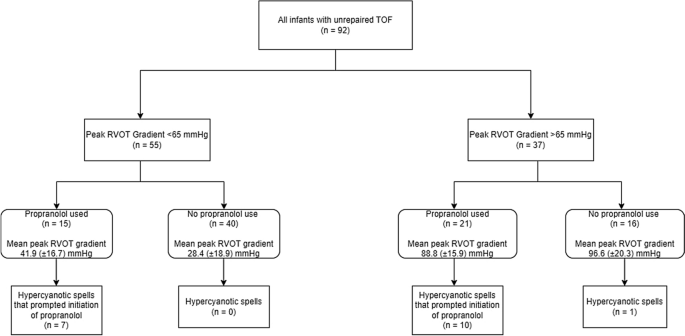 Propranolol Therapy in Tetralogy of Fallot: Treating the Echocardiogram ...