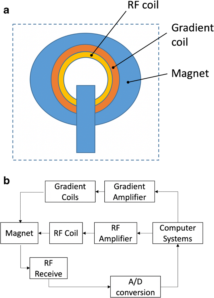 Components of a magnetic resonance imaging system and their relationship to  safety and image quality | SpringerLink