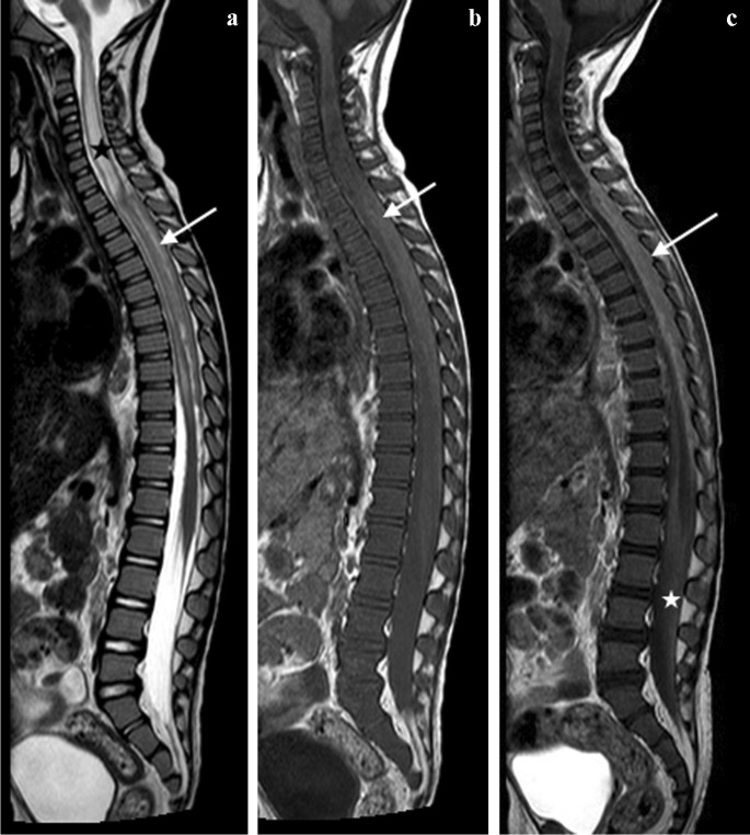 figure 26