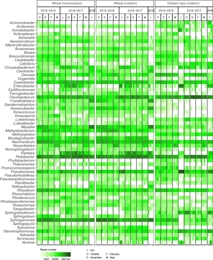 Crop Residues In Wheat Oilseed Rape Rotation System A Pivotal Shifting Platform For Microbial Meetings Springerlink