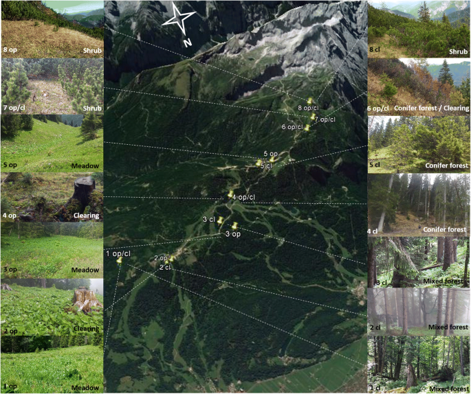 Different Degrees of Niche Differentiation for Bacteria, Fungi, and  Myxomycetes Within an Elevational Transect in the German Alps | SpringerLink