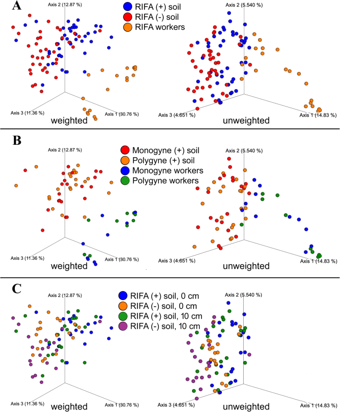 Colonization By The Red Imported Fire Ant Solenopsis Invicta Modifies Soil Bacterial Communities Springerlink