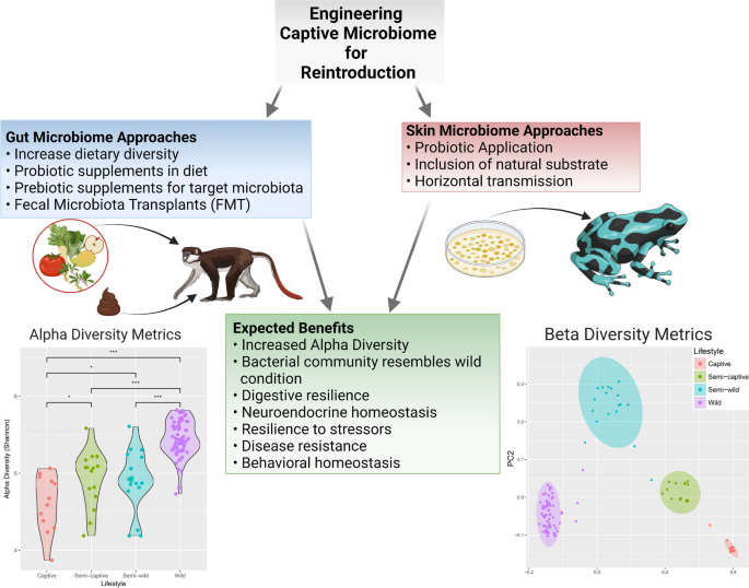 Into the Wild: Animal Microbiomes in Conservation