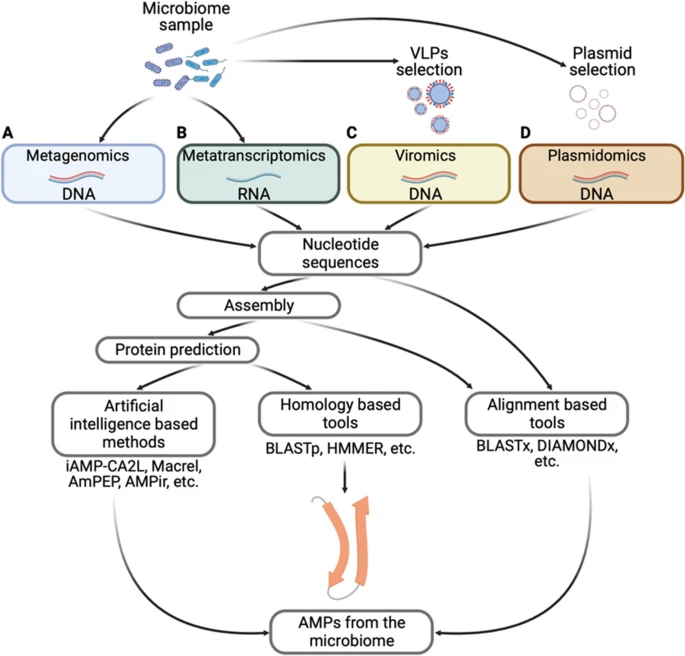 antimicrobial peptides