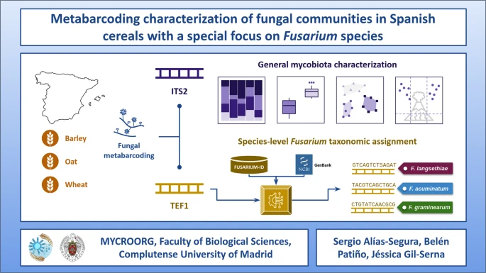 Metabarcoding Characterization of Fungal Communities in Spanish Cereals with a Special Focus on Fusarium Species