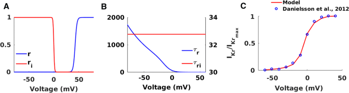 Equivalent circuit for single time constant model of tibia