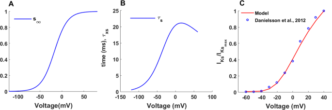 Equivalent circuit for single time constant model of tibia