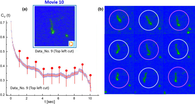 figure 18