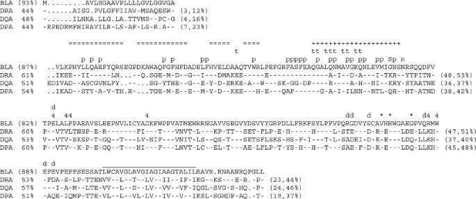 The Properties Of The Single Chicken Mhc Classical Class Ii A Chain B La Gene Indicate An Ancient Origin For The Dr E Like Isotype Of Class Ii Molecules Springerlink