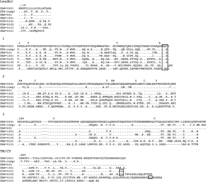 Interchromosomal Duplication Of Major Histocompatibility Complex Class I Regions In Rainbow Trout Oncorhynchus Mykiss A Species With A Presumably Recent Tetraploid Ancestry Springerlink