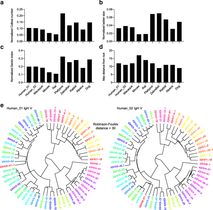 Inter- and intraspecies comparison of phylogenetic fingerprints