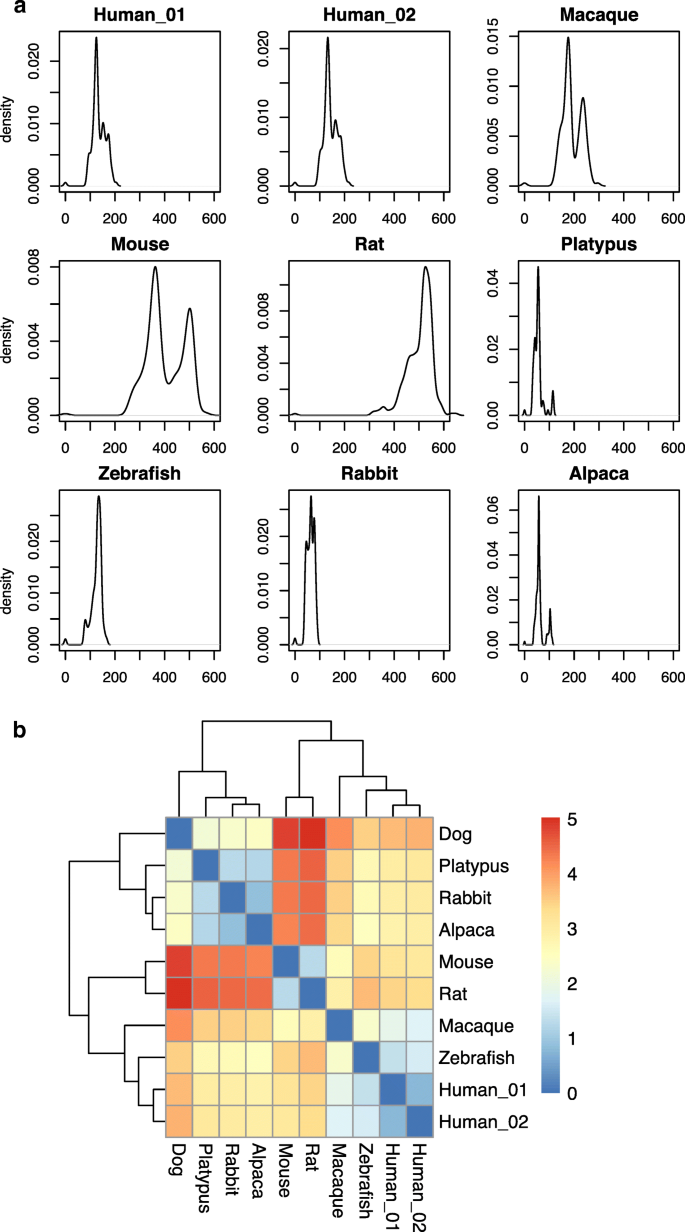 Inter- and intraspecies comparison of phylogenetic fingerprints