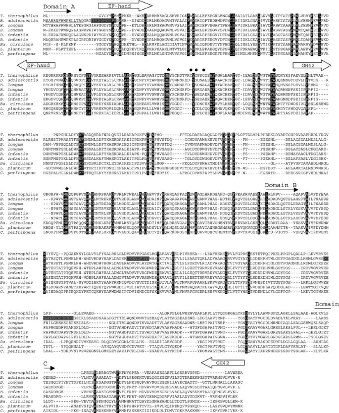 B Galactosidase From Bifidobacterium Adolescentis Dsm0 Prefers B 1 4 Galactosides Over Lactose Springerlink