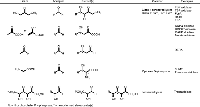 Microbial Aldolases As C C Bonding Enzymes Unknown Treasures And New Developments Springerlink