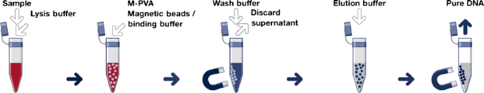 Magnetic particles for the separation and purification of nucleic acids |  SpringerLink