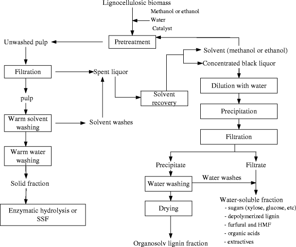 Organosolv Pretreatment Of Lignocellulosic Biomass For Enzymatic Hydrolysis Springerlink