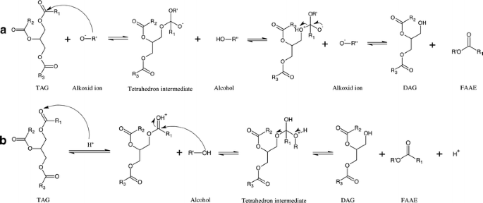 Fatty acid alkyl esters: perspectives for production of 