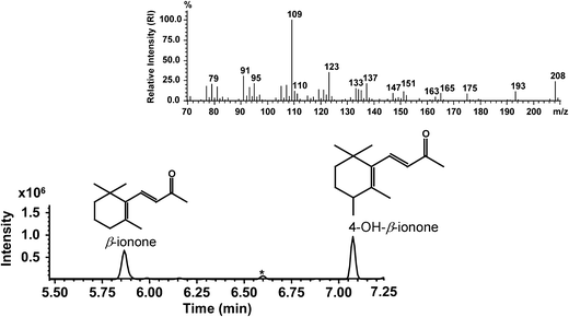 Regioselective hydroxylation of norisoprenoids by CYP109D1 from ...