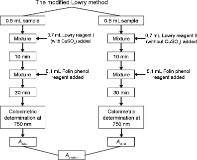 Improvement On The Modified Lowry Method Against Interference Of Divalent Cations In Soluble Protein Measurement Springerlink