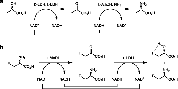 scheme 9