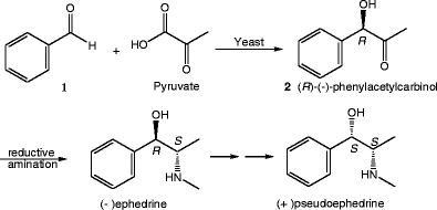 Potential of some yeast strains in the stereoselective synthesis of (R)-(−)- phenylacetylcarbinol and (S)-(+)-phenylacetylcarbinol and their reduced  1,2-dialcohol derivatives | SpringerLink