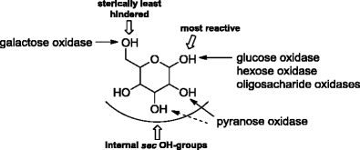 scheme 12