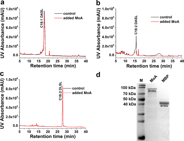 Identification And Characterization Of A Flavin Containing Monooxygenase Moa And Its Function In A Specific Sophorolipid Molecule Metabolism In Starmerella Bombicola Springerlink Identification And Characterization Of A Flavin Containing Monooxygenase Moa And Its Function In A Specific Sophorolipid Molecule Metabolism In Starmerella Bombicola Springerlink