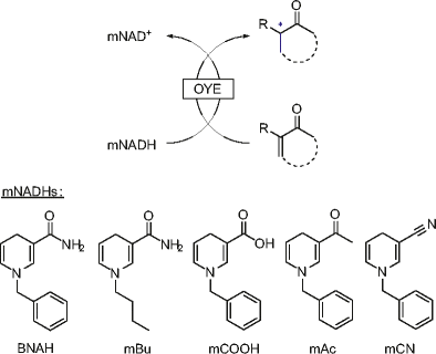 scheme 5