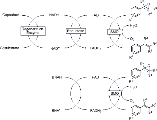 scheme 7