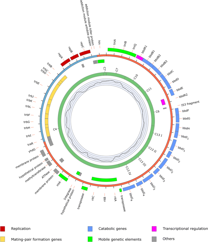 Interspecies Interactions of the 2,6-Dichlorobenzamide Degrading