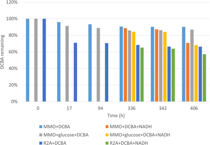 Interspecies Interactions of the 2,6-Dichlorobenzamide Degrading