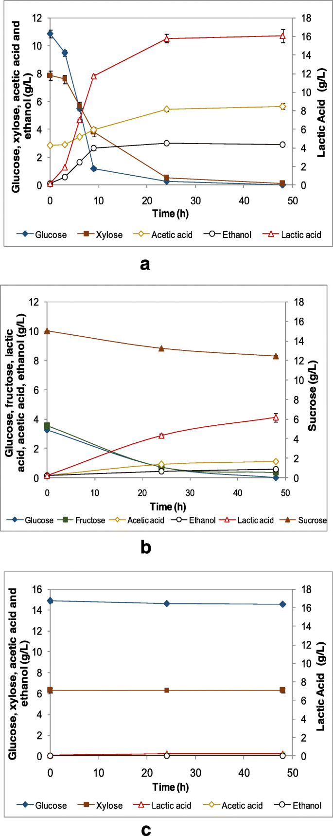 Effect Of Contamination With Lactobacillus Fermentum I2 On Ethanol Production By Spathaspora Passalidarum Springerlink Effect Of Contamination With Lactobacillus Fermentum I2 On Ethanol Production By Spathaspora Passalidarum Springerlink