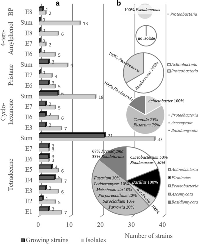 Diversity And Degradative Capabilities Of Bacteria And Fungi Isolated From Oil Contaminated And Hydrocarbon Polluted Soils In Kazakhstan Springerlink Diversity And Degradative Capabilities Of Bacteria And Fungi Isolated From Oil Contaminated And Hydrocarbon Polluted Soils In Kazakhstan Springerlink