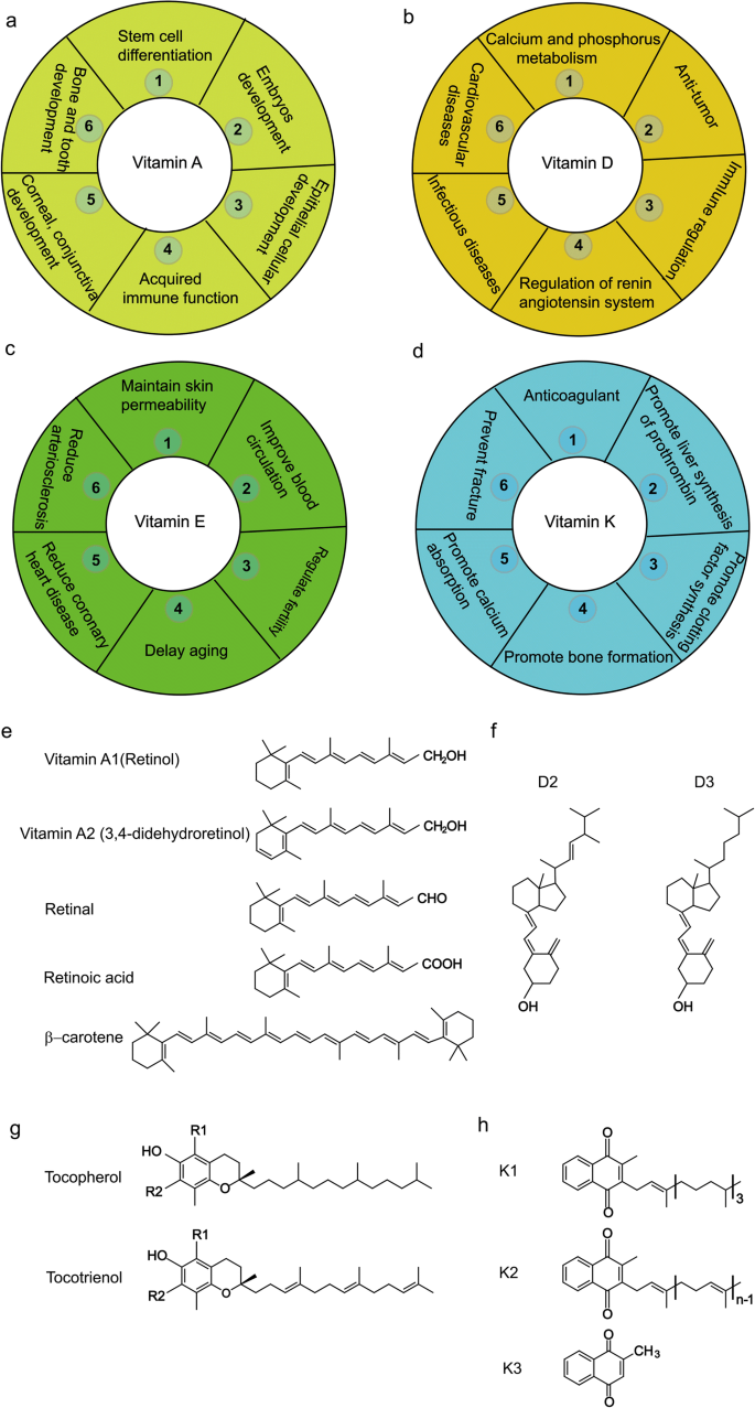 Metabolic Engineering For The Production Of Fat Soluble Vitamins Advances And Perspectives Springerlink