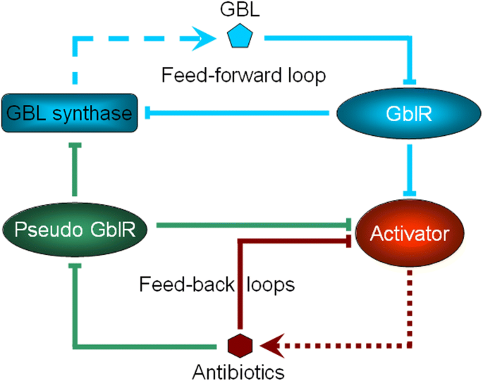 GBL. Gamma-Butyrolactone (or GBL) is a…, by Euro RC Provide