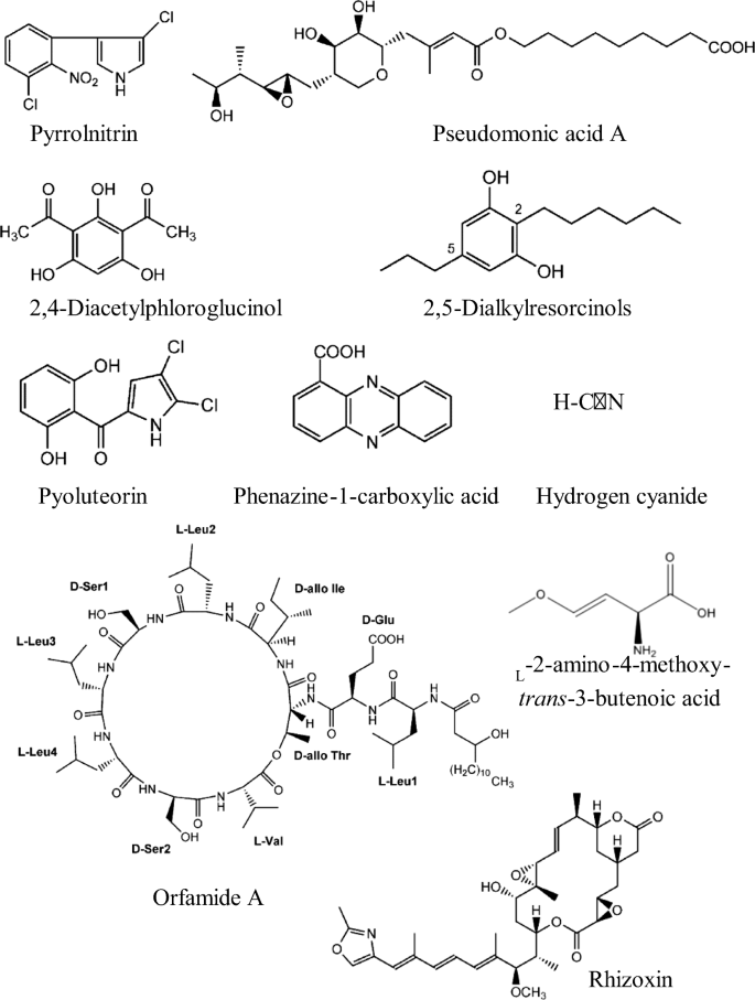 Discovery of Modified Metabolites, Secondary Metabolites, and Xenobiotics  by Structure-Oriented LC–MS/MS