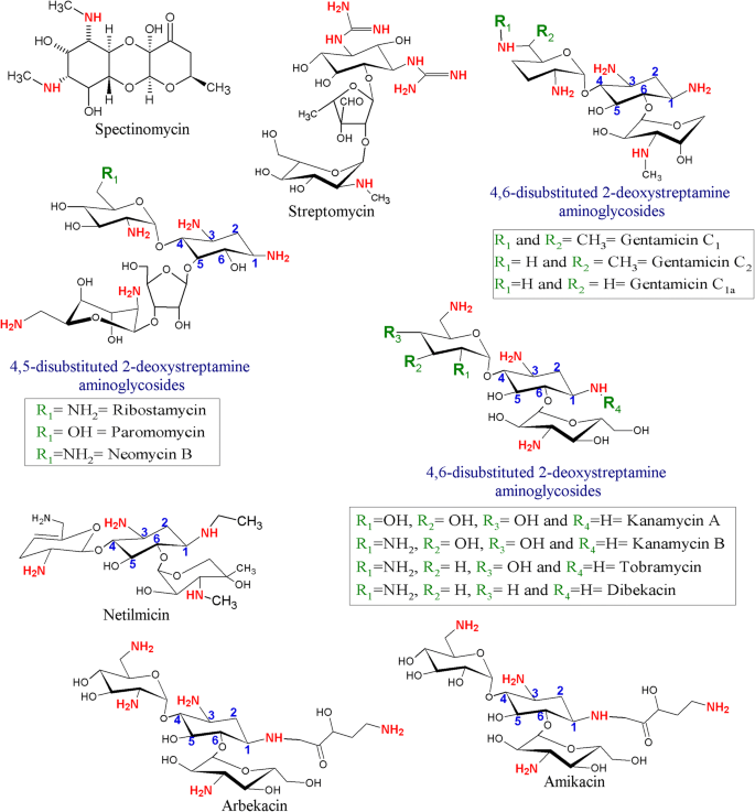 Alternative Strategies For The Application Of Aminoglycoside Antibiotics Against The Biofilm Forming Human Pathogenic Bacteria Springerlink
