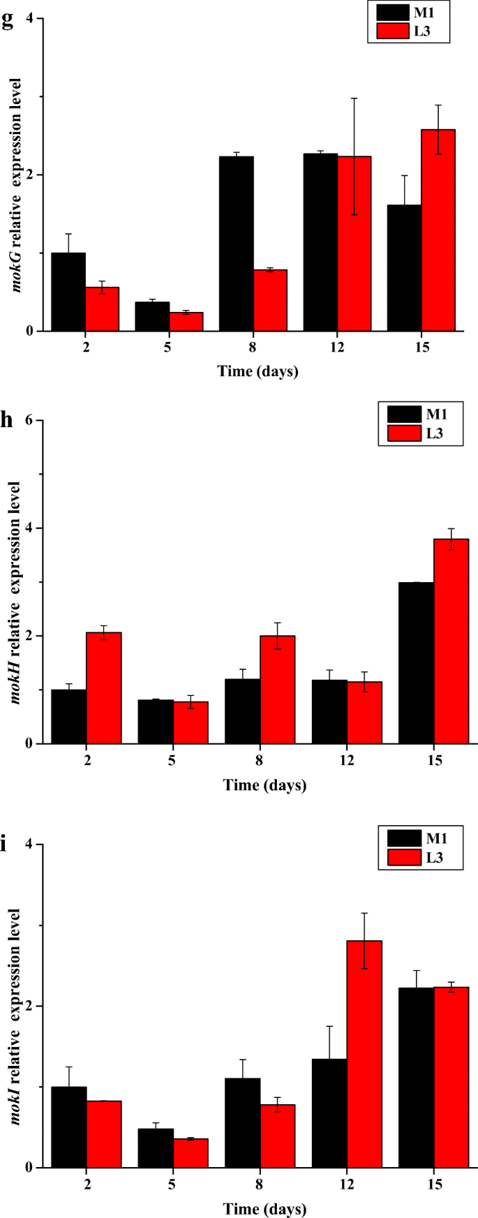 Overexpression Of Global Regulator Laea Increases Secondary Metabolite Production In Monascus Purpureus Springerlink
