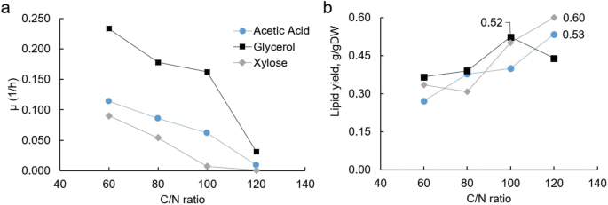 C N Ratio And Carbon Source Dependent Lipid Production Profiling In Rhodotorula Toruloides Springerlink