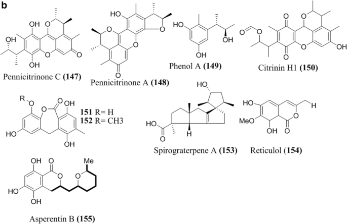 Fungi From The Extremes Of Life An Untapped Treasure For Bioactive Compounds Springerlink