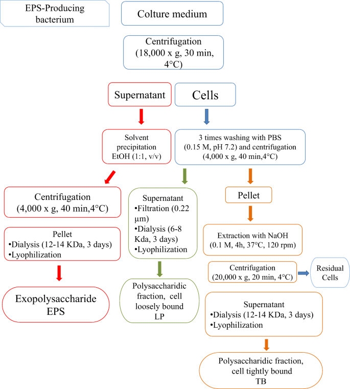 Peculiarities Of Extracellular Polymeric Substances Produced By Antarctic Bacteria And Their Possible Applications Springerlink