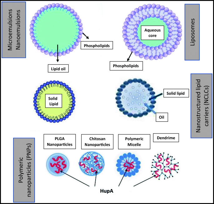 Microbial Acetylcholinesterase Inhibitors For Alzheimer S Therapy Recent Trends On Extraction Detection Irradiation Assisted Production Improvement And Nano Structured Drug Delivery Springerlink
