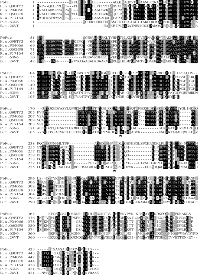 Biochemical characterization of a novel α-L-fucosidase from Pedobacter sp.  and its application in synthesis of 3′-fucosyllactose and 2′-fucosyllactose  | SpringerLink