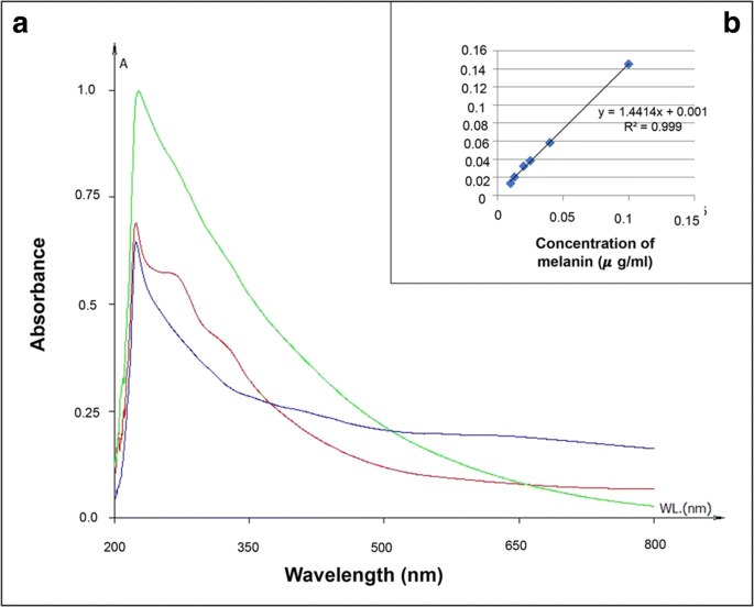 Functionality Of Epidermal Melanin Pigments Current Knowledge On Uv Dissipative Mechanisms And Research Perspectives Physical Chemistry Chemical Physics Rsc Publishing Doi 10 1039 C1cp20131j