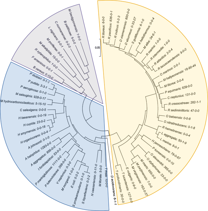 Changes In Microbial Community In The Presence Of Oil And Chemical Dispersant And Their Effects On The Corrosion Of Api 5l Steel Coupons In A Marine Simulated Microcosm Springerlink