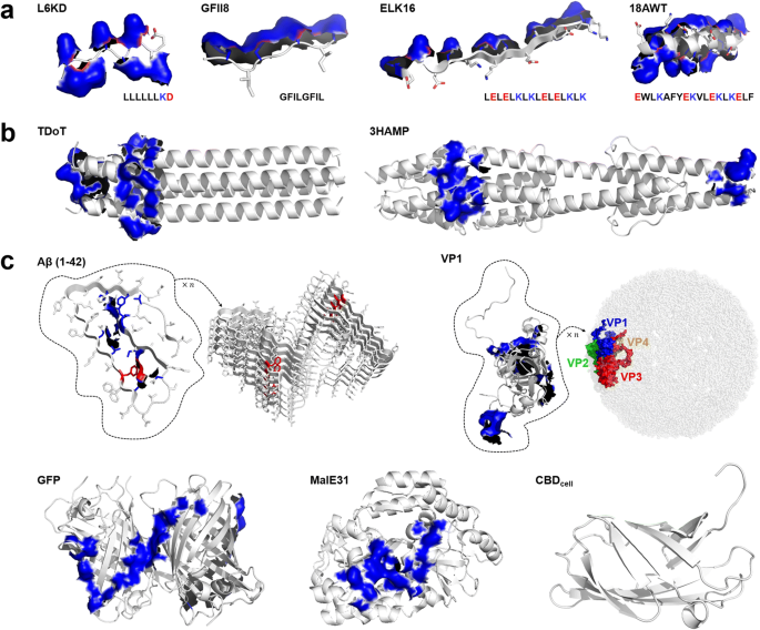catalytically active inclusion bodies
