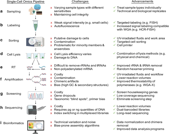 Microbial Single Cell Omics The Crux Of The Matter Springerlink