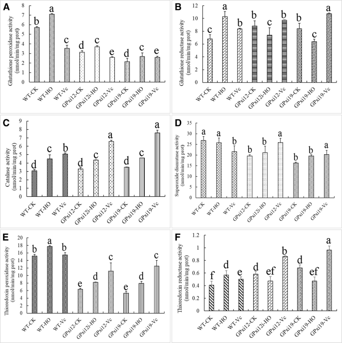 The functions of glutathione peroxidase in ROS homeostasis and fruiting  body development in Hypsizygus marmoreus | Applied Microbiology and  Biotechnology | Springer Nature Link