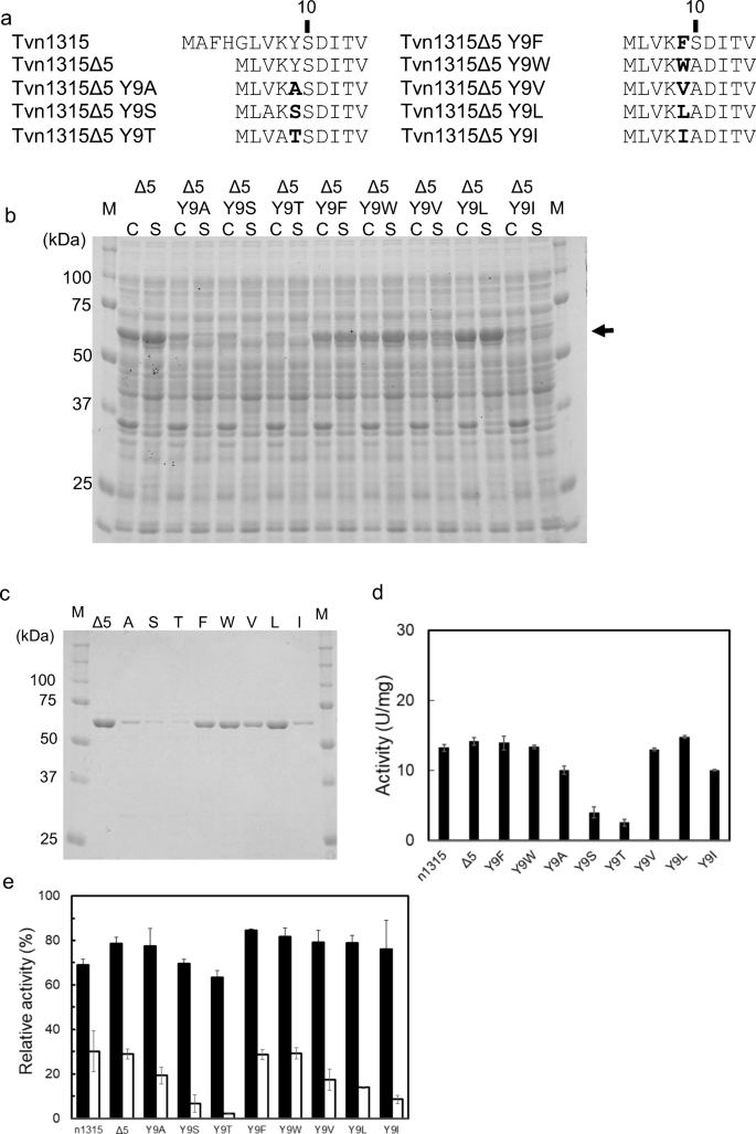 Evaluation Of The Roles Of Hydrophobic Residues In The N Terminal Region Of Archaeal Trehalase In Its Folding Springerlink