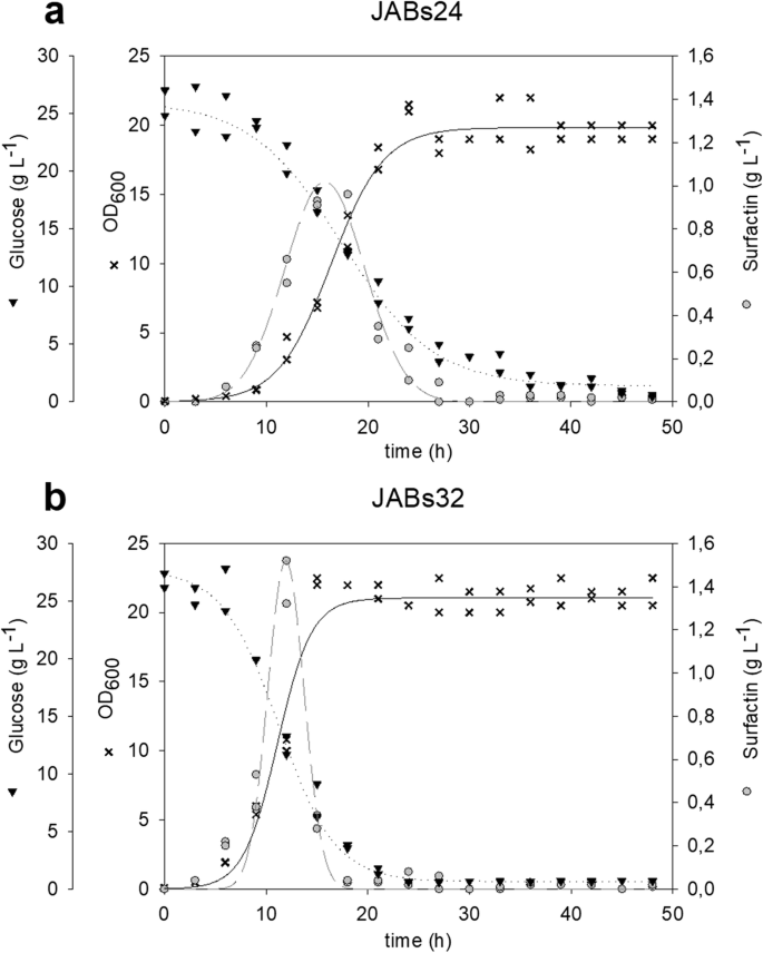 Bacillus Subtilis High Cell Density Fermentation Using A Sporulation Deficient Strain For The Production Of Surfactin Springerlink Bacillus Subtilis High Cell Density Fermentation Using A Sporulation Deficient Strain For The Production Of Surfactin Springerlink